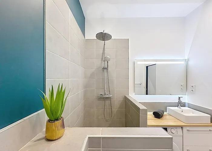 Boudoir-magnifique Appartement-centre-erlon Апартаменты Реймс